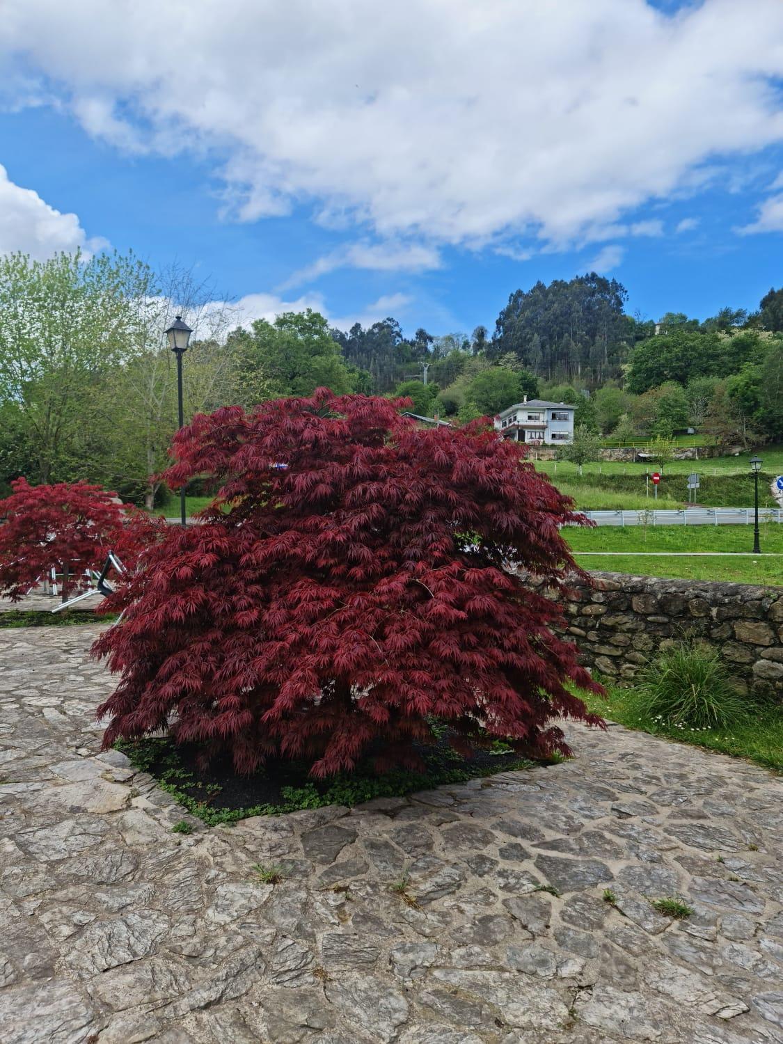 Posada Las Mozas Ríocorvo Kültér fotó